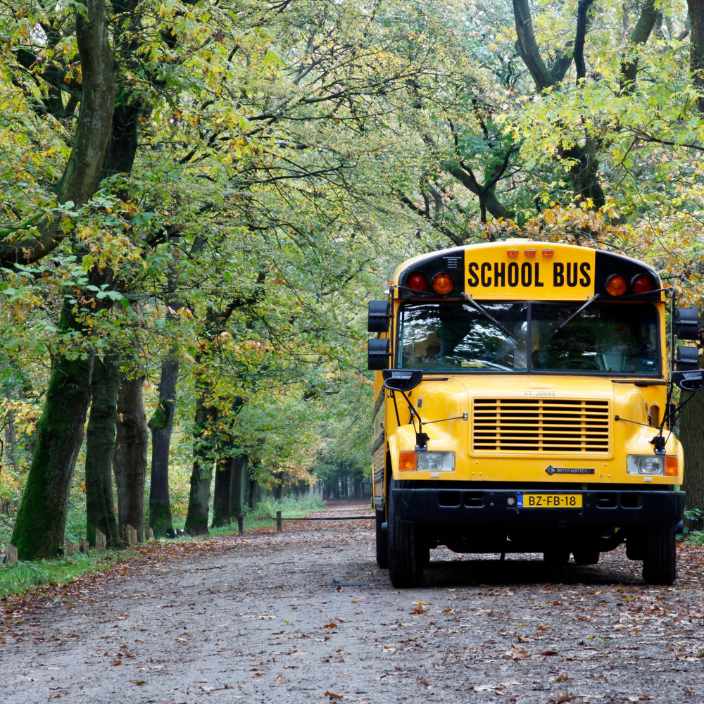 School’s Out for Summer!