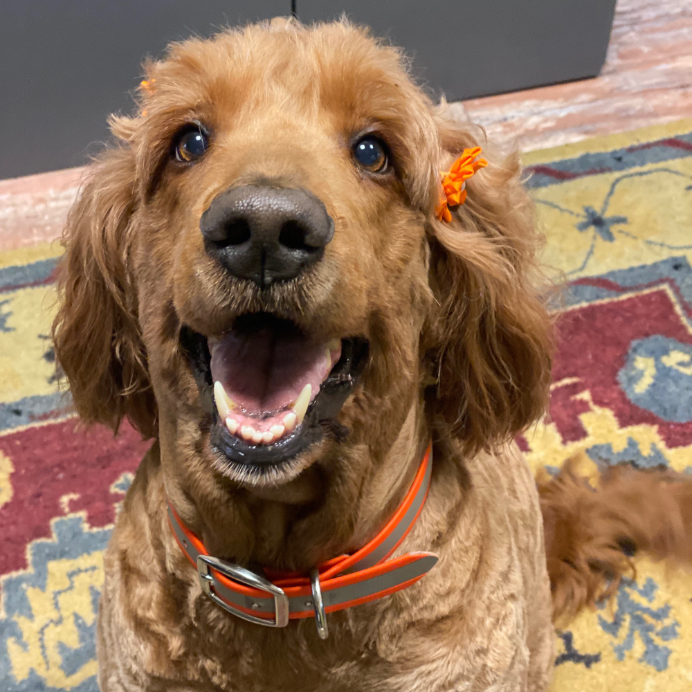 The Secret to Happiness