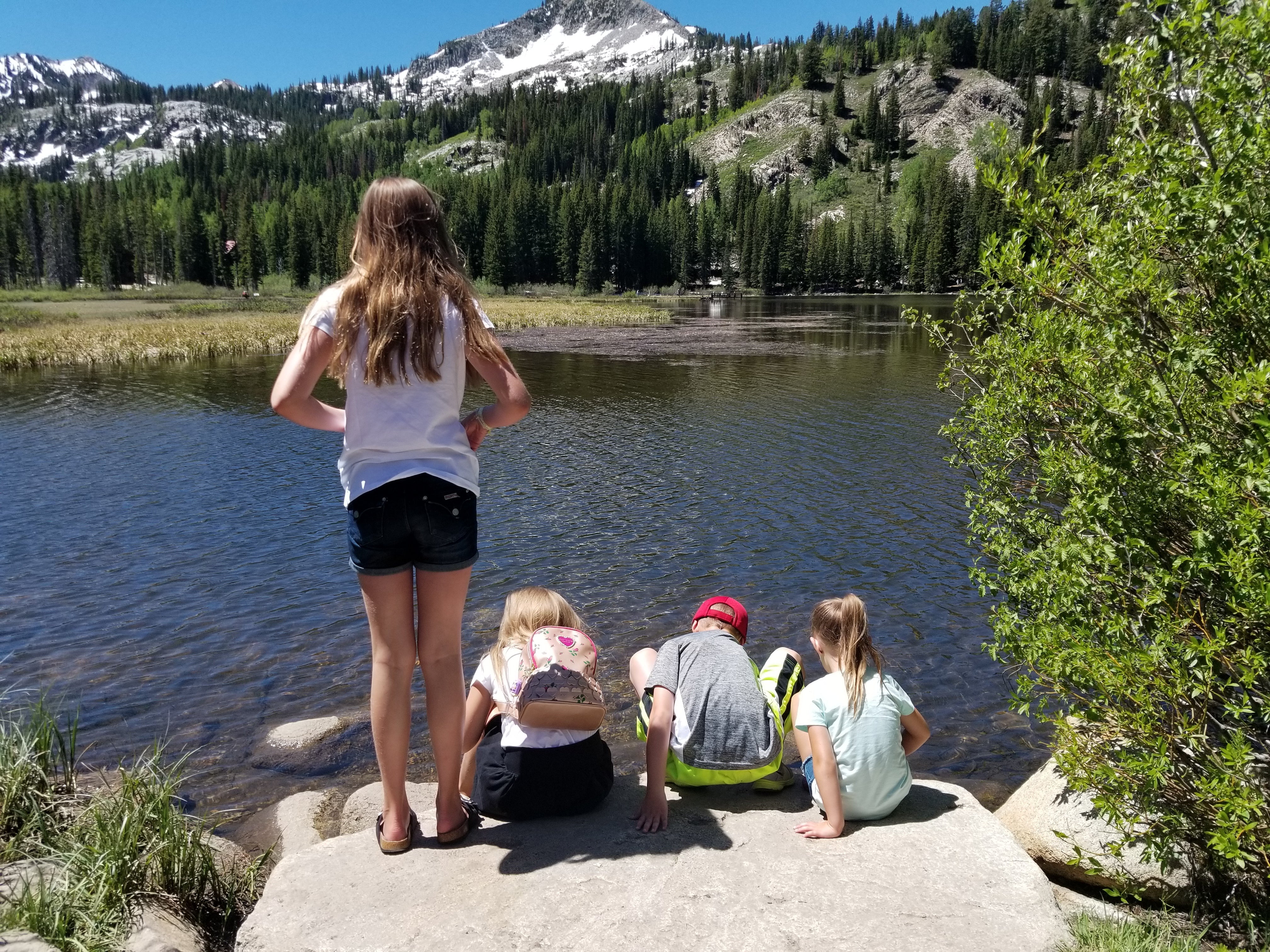 NATIONAL FRIENDSHIP DAY:  Nature Edition