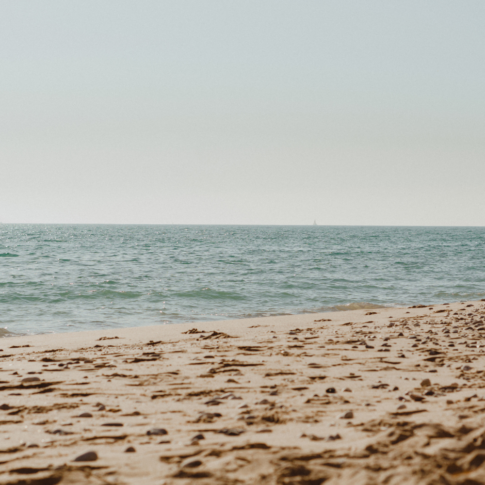 Calm Connections: Finding Light in the Darkness