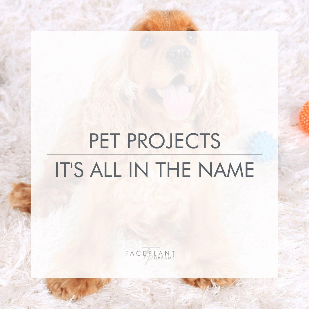 PET PROJECTS: It's all in the name - Faceplant Dreams